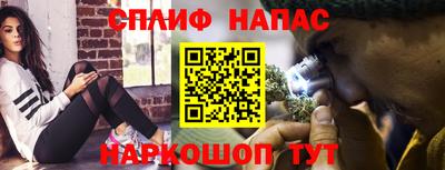 гидра Гагарин