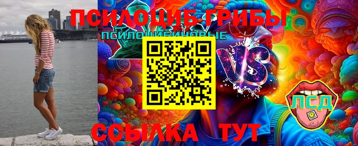 Белорецк  Галлюциногенные грибы Cubensis  Вход с VPN 